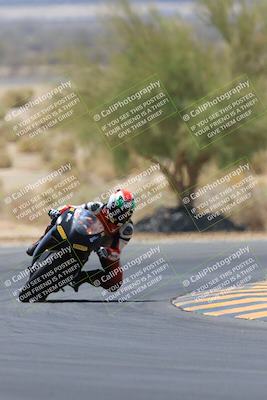 media/May-14-2023-SoCal Trackdays (Sun) [[024eb53b40]]/Turn 5 Tree of Life (1125am)/